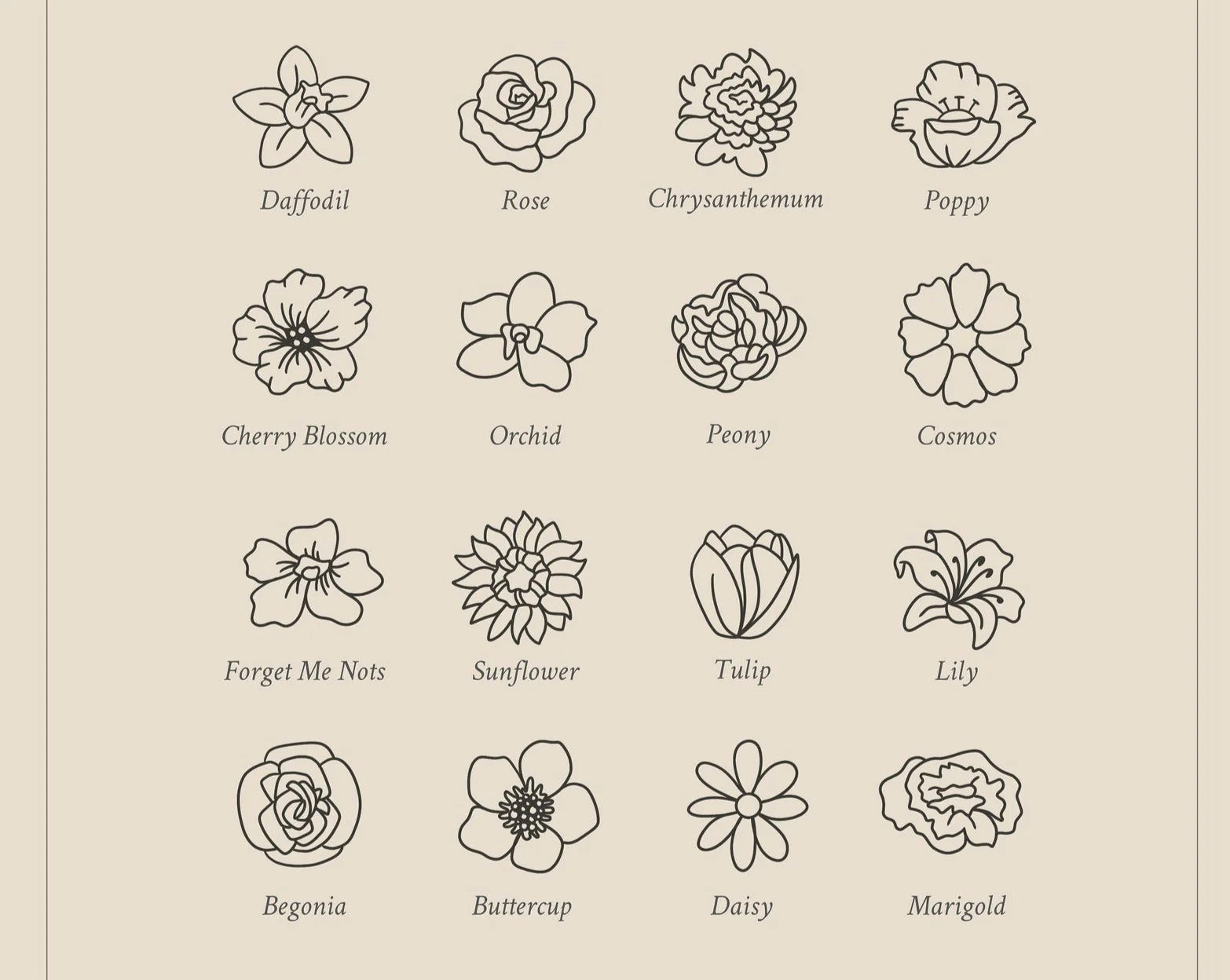 Illustrations of various flowers with labels on a beige background