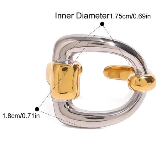 Double Hoop Earrings with Gold & Silver Tones